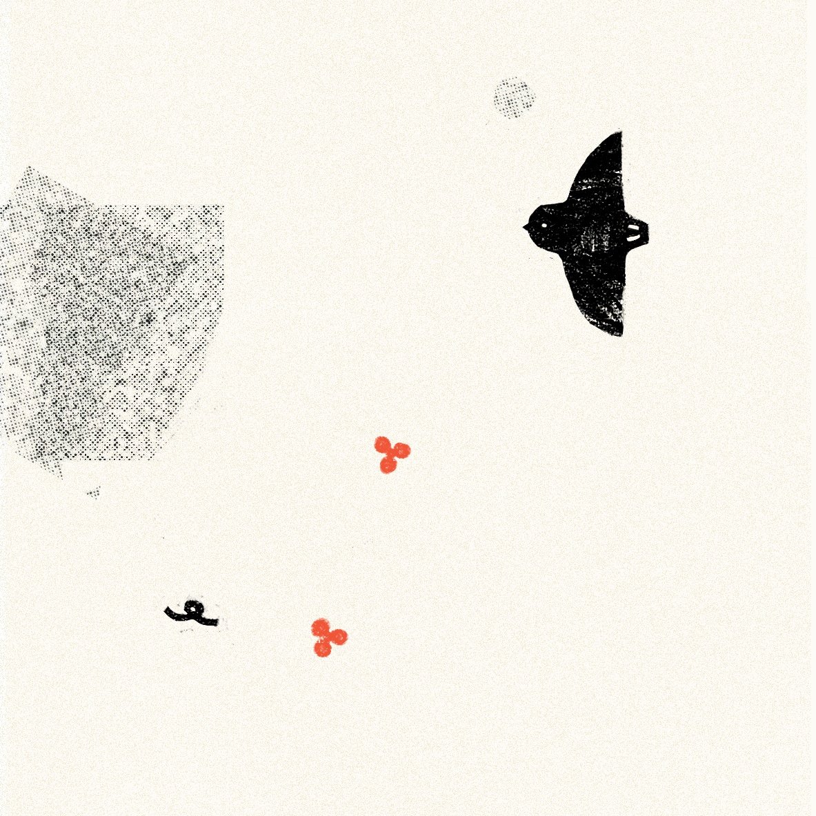 2flyer_darwin_izquierda (3)