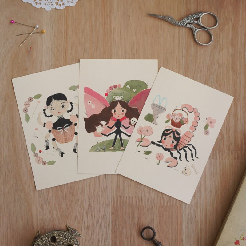 INSECTAS  / set de postales